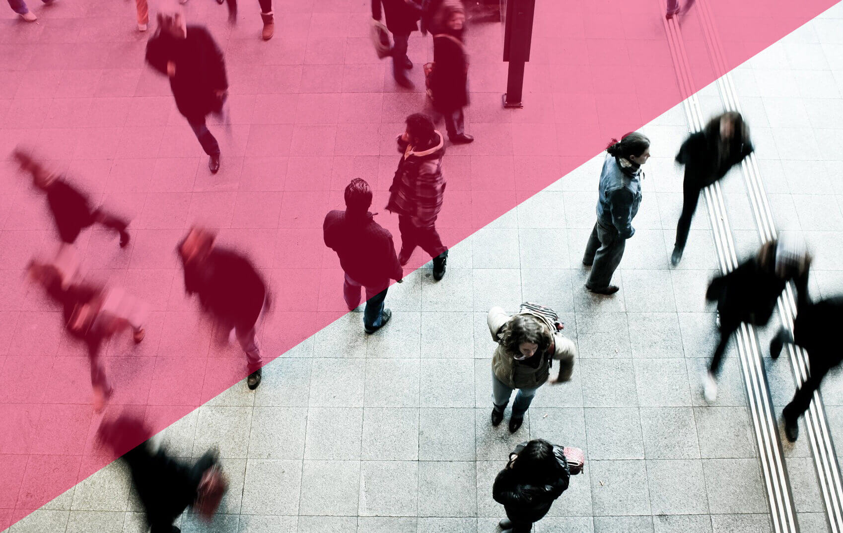 influencers for small business tips