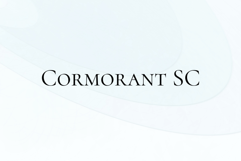 minimalist serif typeface example
