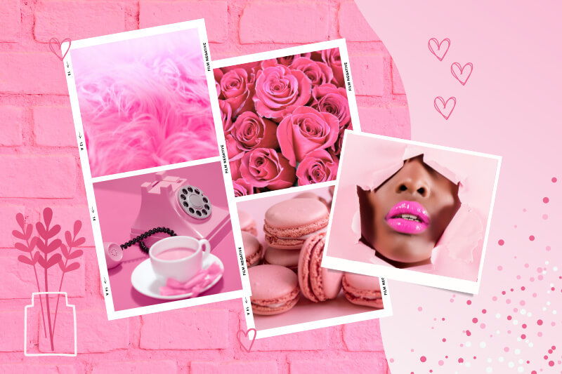 pink branding mood board