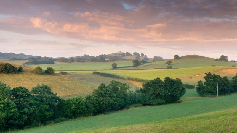 Somerset English farmland in the countryside